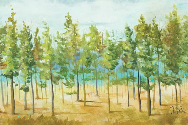 Patricia Pinto: Bosque Verde by Patricia Pinto