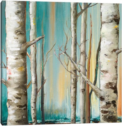 Birch Forest II Canvas Art Print - Patricia Pinto