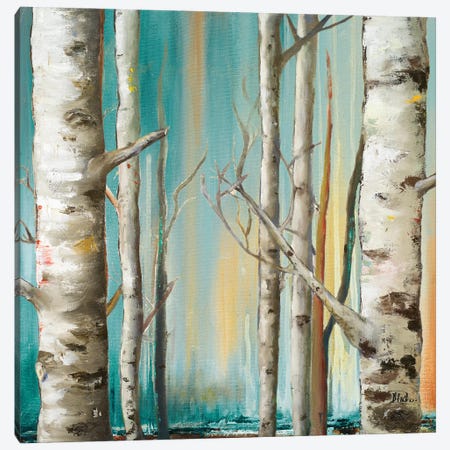 Birch Forest II Canvas Print #PPI750} by Patricia Pinto Canvas Wall Art