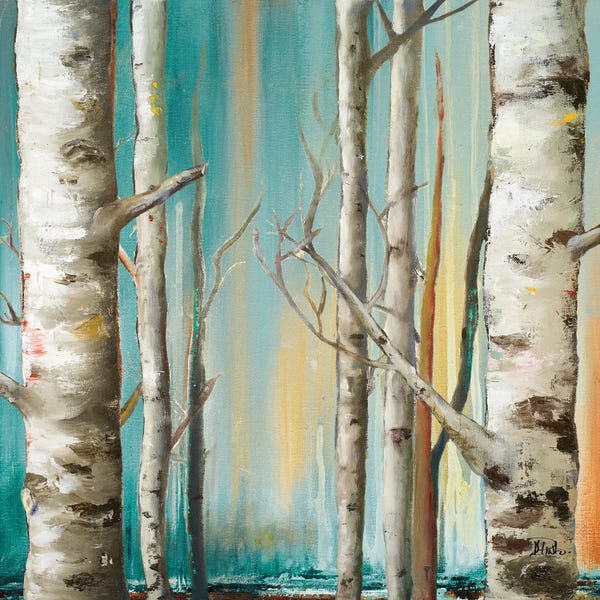 Tree Close-Ups: Birch Forest II by Patricia Pinto