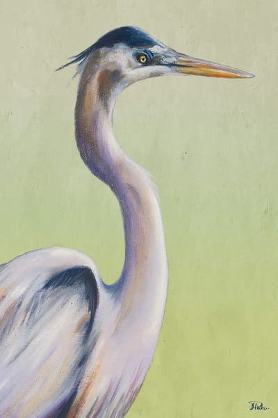 Patricia Pinto: Blue Heron on Green I by Patricia Pinto