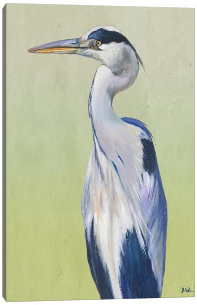 Blue Heron on Green II Canvas Art Print - Patricia Pinto