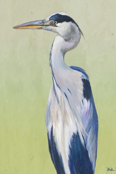 Patricia Pinto: Blue Heron on Green II by Patricia Pinto
