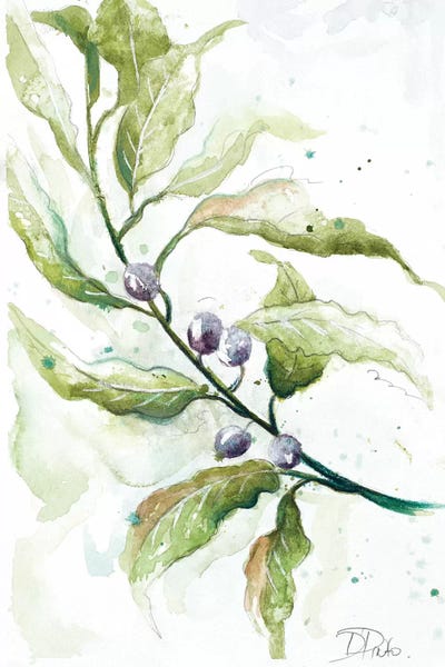 Branches to the Wind I