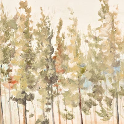 Bosque Verde Brisa I by Patricia Pinto canvas print