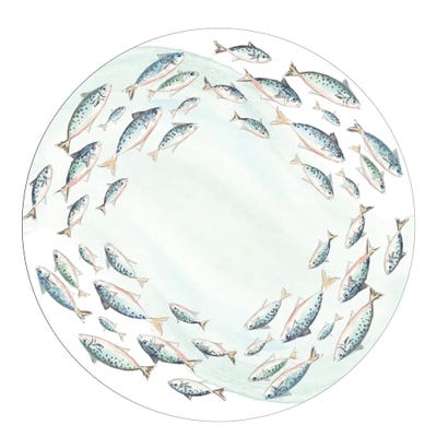 Circle Of Fish by Patricia Pinto framed wall art