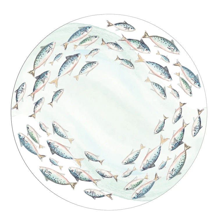 Circle Of Fish