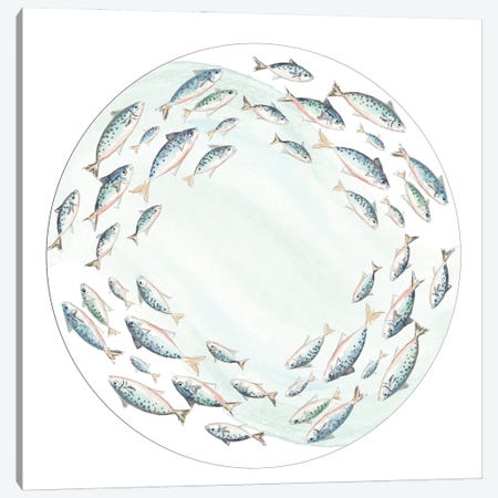 Circle Of Fish Canvas Print #PPI773} by Patricia Pinto Canvas Art