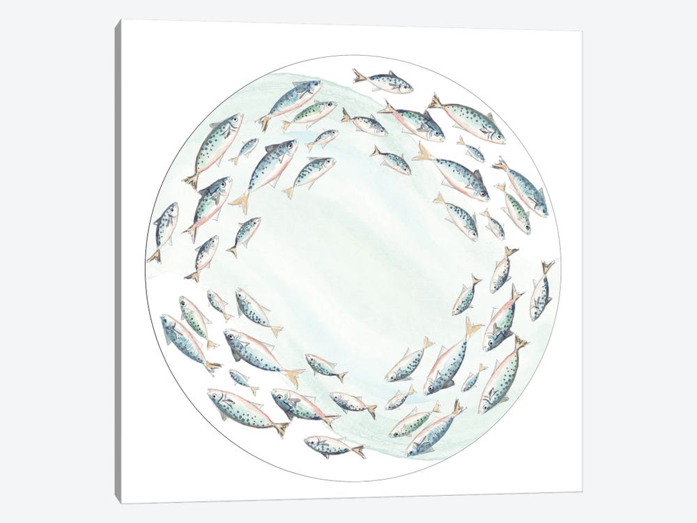 Circle Of Fish by Patricia Pinto 1-piece Canvas Wall Art