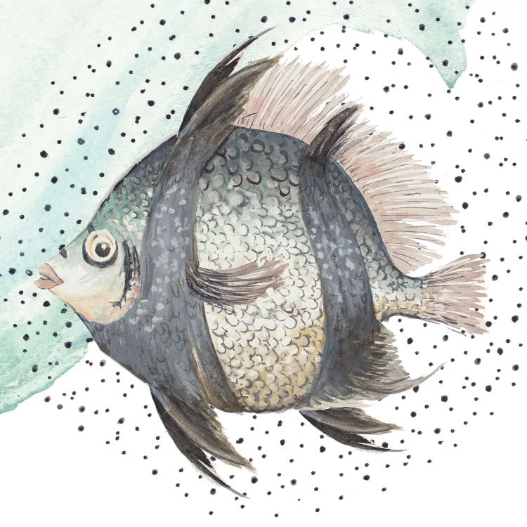 Coastal Fish I