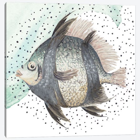 Coastal Fish I Canvas Print #PPI776} by Patricia Pinto Art Print