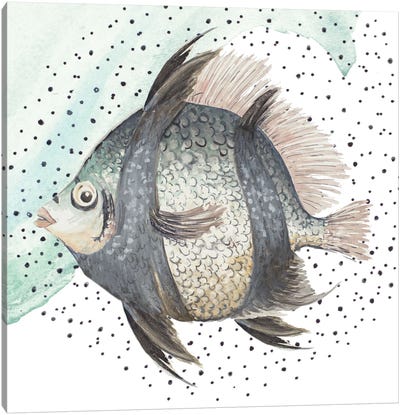 Coastal Fish I Canvas Art Print - Patricia Pinto