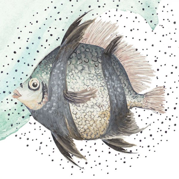 Patricia Pinto: Coastal Fish I by Patricia Pinto