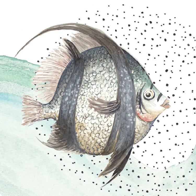 Coastal Fish II by Patricia Pinto canvas print