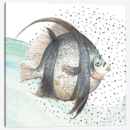 1.5 by 40 by 60-Inch iCanvasART 3-Piece Fish Canvas Print by Anthony Freda