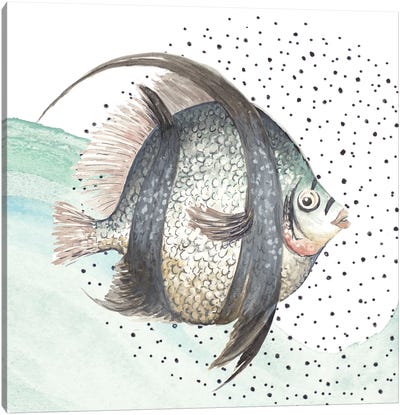 Coastal Fish II Canvas Art Print - Patricia Pinto
