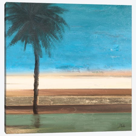 Coastal Palms III Canvas Print #PPI779} by Patricia Pinto Canvas Art