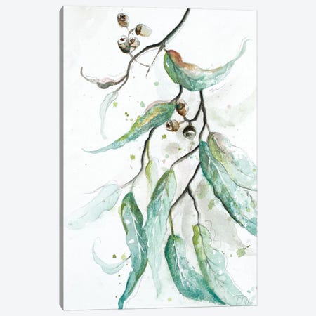 Branches to the Wind III Canvas Print #PPI77} by Patricia Pinto Canvas Print