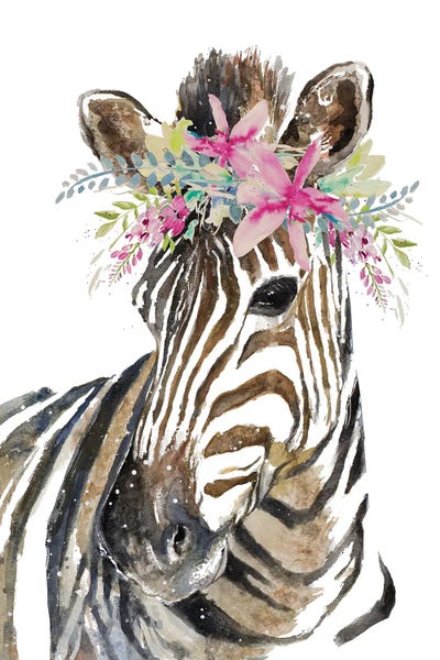 Crowned Zebra by Patricia Pinto framed wall art