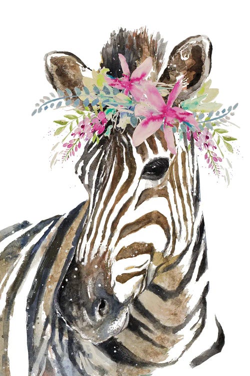 Crowned Zebra by Patricia Pinto wall art