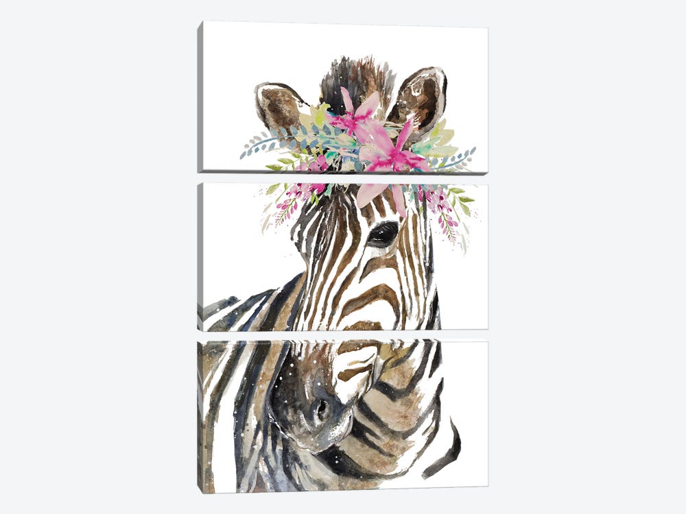Crowned Zebra by Patricia Pinto 3-piece Canvas Art