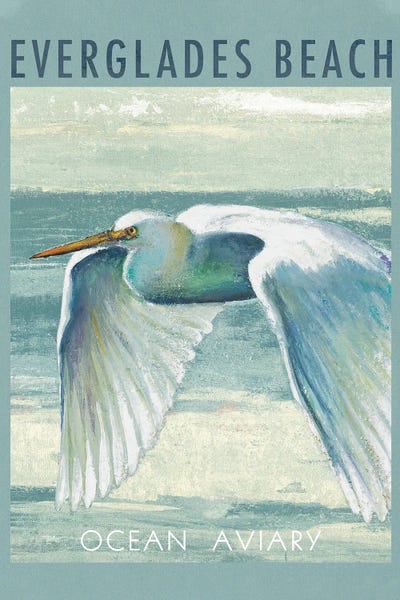 Everglades National Park: Everglades Poster II by Patricia Pinto