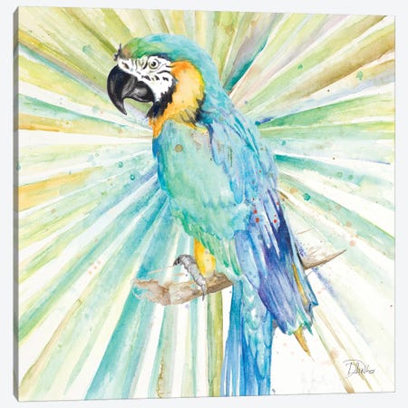 Bright Tropical Parrot Canvas Print #PPI79} by Patricia Pinto Canvas Wall Art
