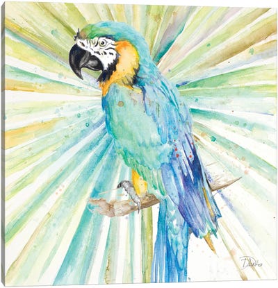 Bright Tropical Parrot Canvas Art Print - Parrot Art