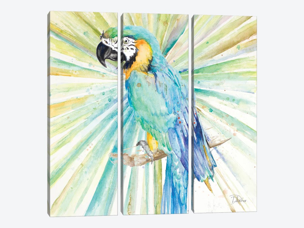 Bright Tropical Parrot by Patricia Pinto 3-piece Canvas Wall Art