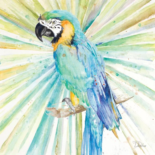 Patricia Pinto: Bright Tropical Parrot by Patricia Pinto