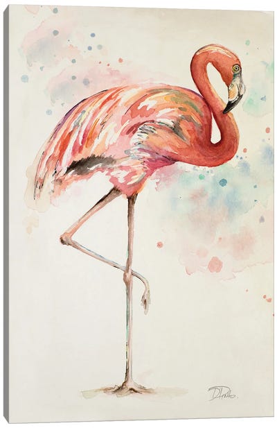 Flamingo II Canvas Art Print - Patricia Pinto
