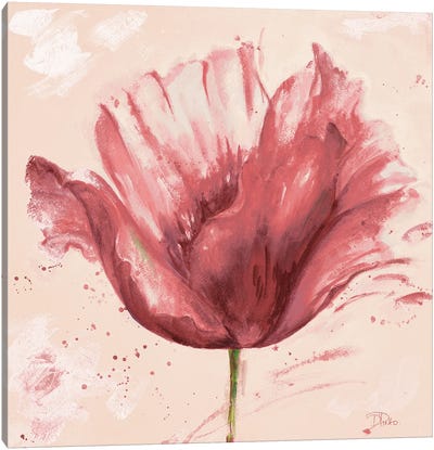 Flower In Pink Canvas Art Print - Tulip Art