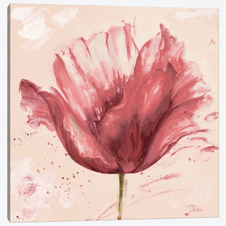 Flower In Pink Canvas Print #PPI801} by Patricia Pinto Canvas Art