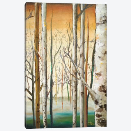 Gold Birch Forest II Canvas Print #PPI808} by Patricia Pinto Canvas Wall Art