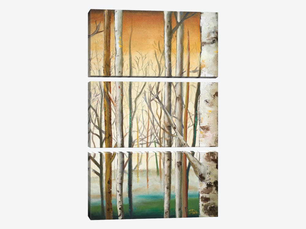 Gold Birch Forest II by Patricia Pinto 3-piece Canvas Art