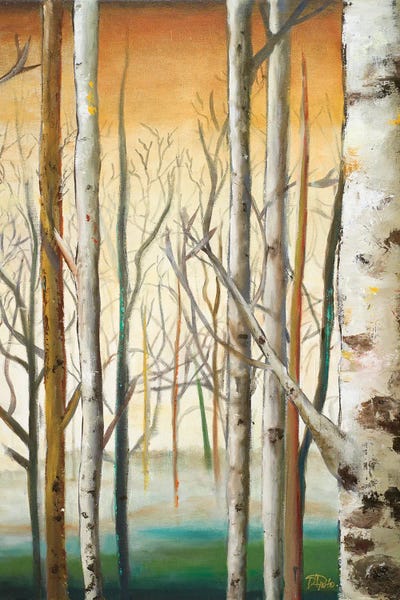 Birch Trees: Gold Birch Forest II by Patricia Pinto