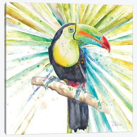 Bright Tropical Toucan Canvas Print #PPI80} by Patricia Pinto Canvas Art Print