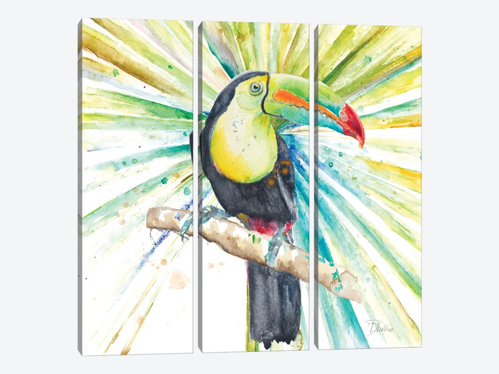 Bright Tropical Toucan by Patricia Pinto 3-piece Canvas Artwork