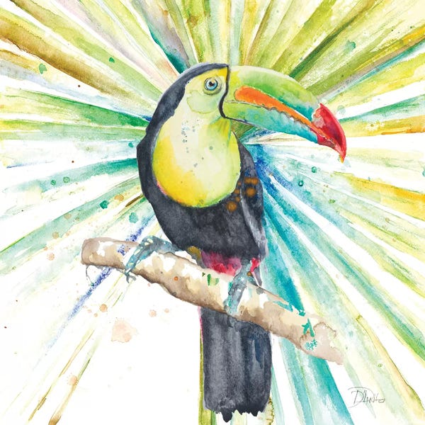 Patricia Pinto: Bright Tropical Toucan by Patricia Pinto