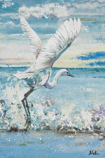 Great Blue Egret I by Patricia Pinto art print