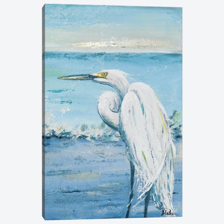 Great Blue Egret II Canvas Print #PPI819} by Patricia Pinto Canvas Print