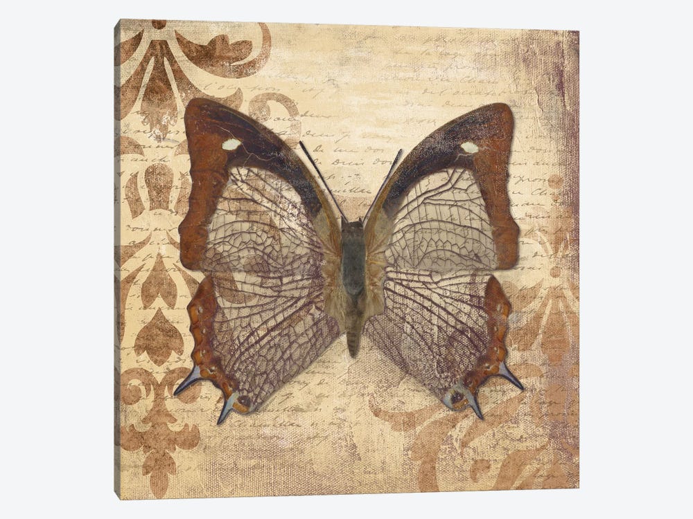 Butterfly by Patricia Pinto 1-piece Art Print