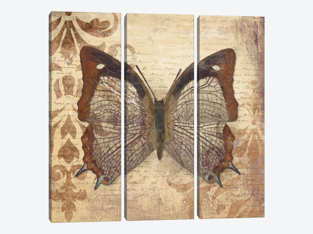 Butterfly by Patricia Pinto 3-piece Canvas Art Print