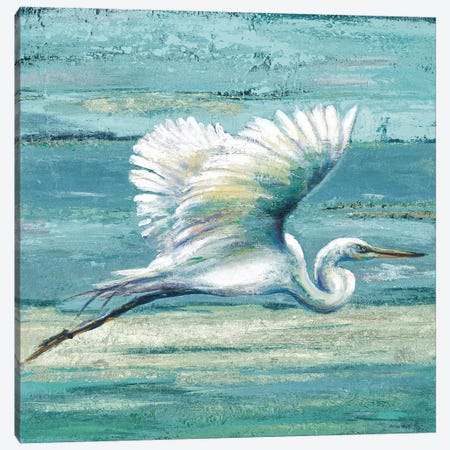 Great Egret I Canvas Print #PPI820} by Patricia Pinto Canvas Artwork