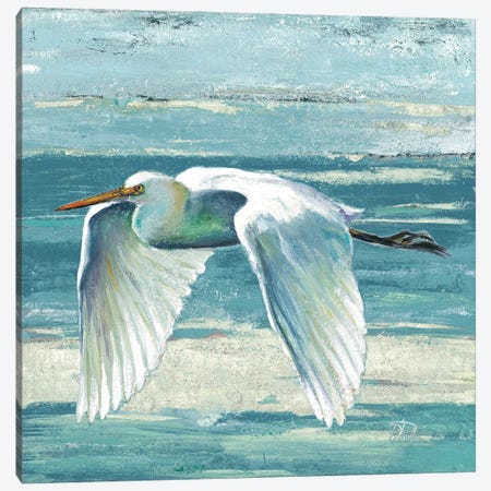 Great Egret II Canvas Print #PPI822} by Patricia Pinto Canvas Artwork