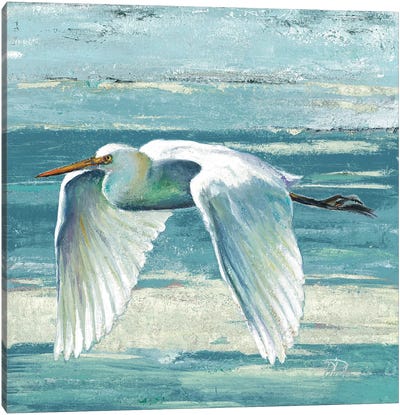 Great Egret II Canvas Art Print - Egret Art