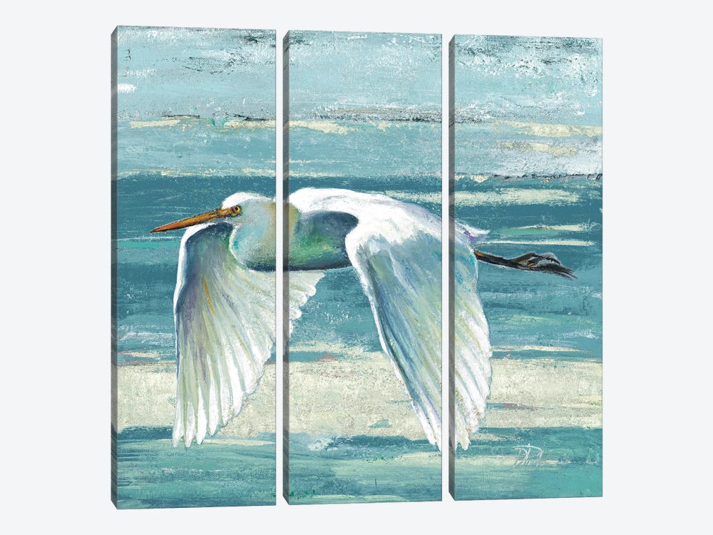 Great Egret II by Patricia Pinto 3-piece Canvas Wall Art