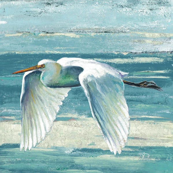 Patricia Pinto: Great Egret II by Patricia Pinto