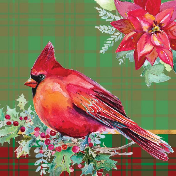 Cardinals: Holiday Poinsettia and Cardinal on Plaid I by Patricia Pinto