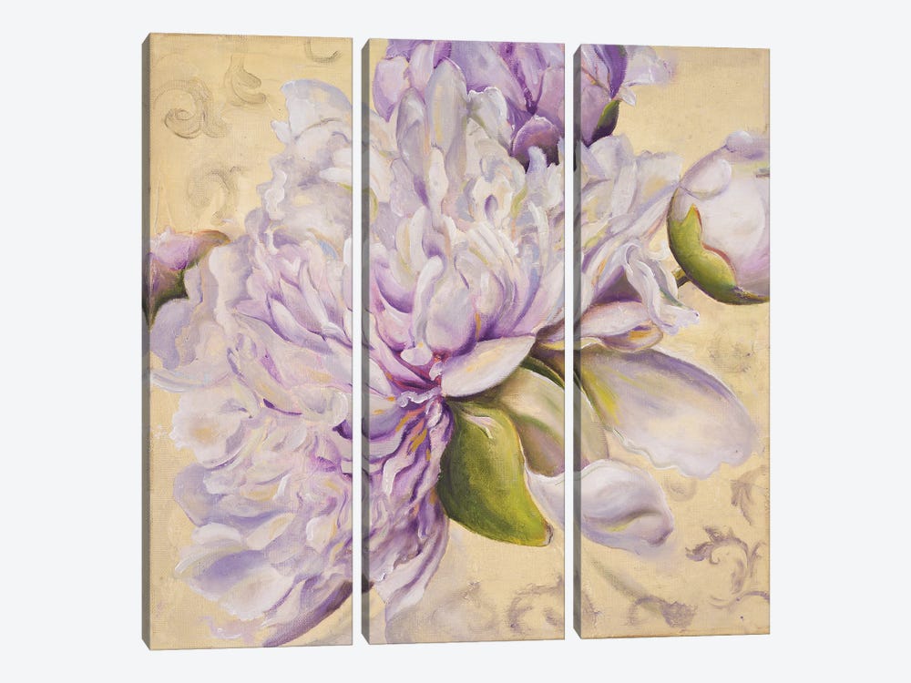 In Bloom I by Patricia Pinto 3-piece Canvas Print